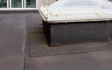 disadvantages of High Toynton flat roofs